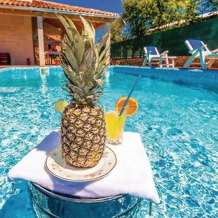 Geraeumige, Topmoderne Ferienvilla Mit Eigenem Pool Rasopasno